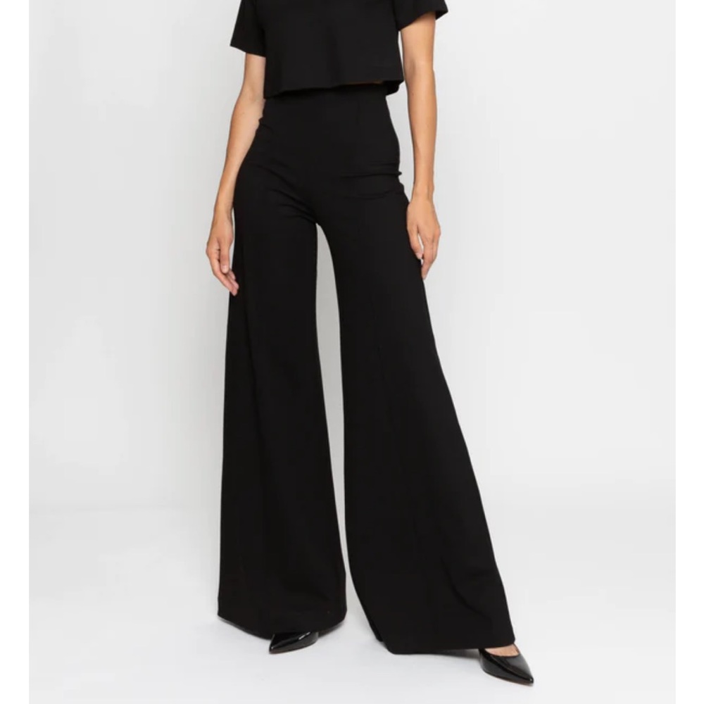 RIPLEY RADER ✨ Viral pants- NWT- Ponte Knit Wide Leg Pants